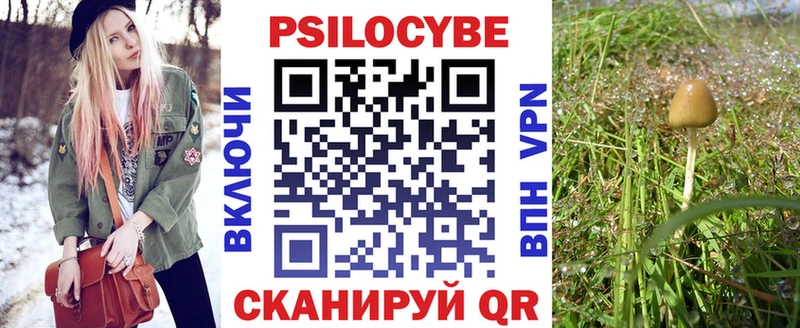 OMG вход  Уржум  Псилоцибиновые грибы ЛСД 